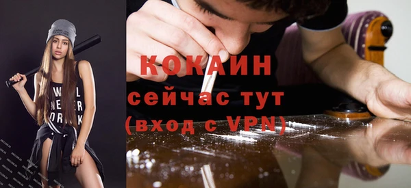 дурь Краснослободск