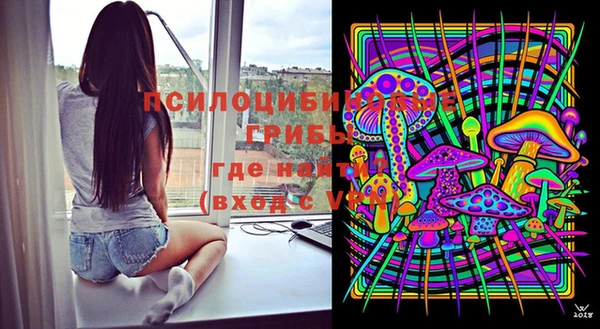 ПСИЛОЦИБИНОВЫЕ ГРИБЫ Краснотурьинск
