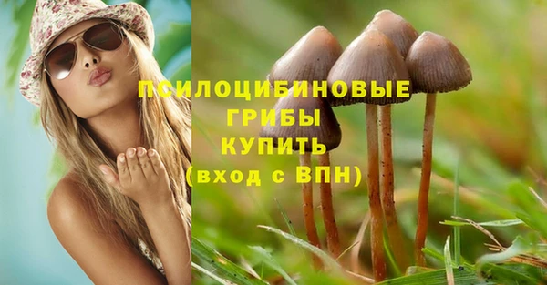 трава Иннополис