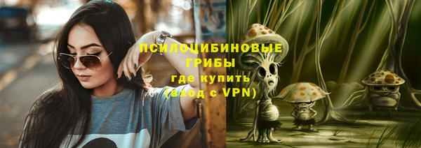 эйфоретик Алексин